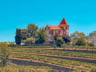 Quinta da Vista Alegre